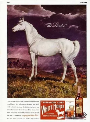 Виски White Horse Blended Scotch Whisky, 40%, 1 л купить в Киеве, Украине |  MAUDAU: цена, отзывы, характеристики