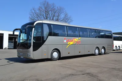 Турфирма «Визит-тур» запускает атобусный рейс из Минска в Прагу | Digital  Travel