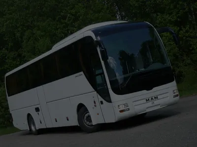 Автобусные рейсы из Беларуси в Польшу и обратно — MOST Media
