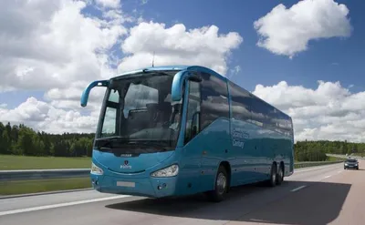 На фестиваль Териберка-2023 отвезут дополнительные автобусы