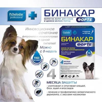 Эффитикс 40 - 60 кг Effitix Virbac капли для собак от блох, клещей,  комаров, мух, власоедов, 4 пипетки (ID#1267681790), цена: 1120 ₴, купить на  Prom.ua