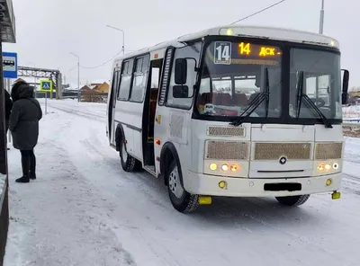 Последний рабочий день стал героическим: как водитель автобуса обезвредил  дебошира - Delfi RUS