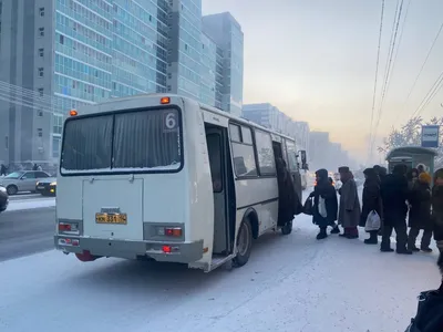 В Южно-Сахалинске уволили водителя автобуса, предлагавшего кидать деньги за  билет на его номер - Новости Сахалинской области - astv.ru