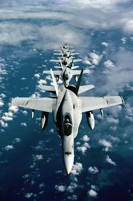 самолет, военный, самолеты, транспортные средства, F- 18 Hornet - скачать  бесплатные обои / oboi7.com