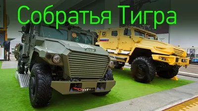 Тигры\" (Тигр-М СнП) начали поступать в войска - бронеавтомобили для спецназа