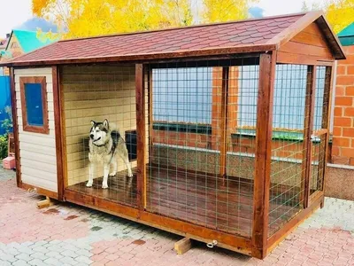 Вольер для собаки (ID#4042387), цена: 29000 ₴, купить на Prom.ua