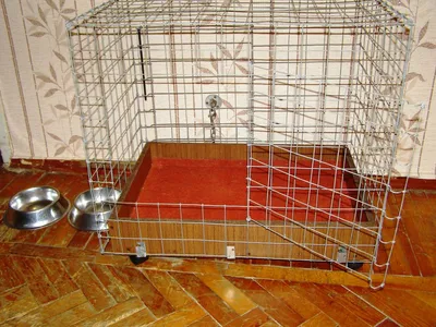 Клетка для собаки в квартиру - Купить домашние клетки