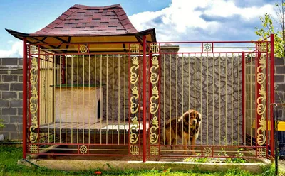 Вольеры для собак от 2,5-8 метров. Ширина до 2,5 м, цена в Иркутске от  компании Гефест-И