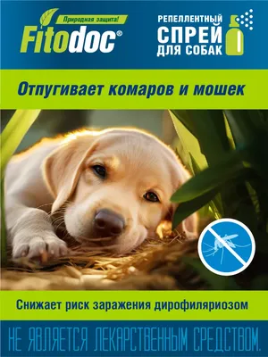 Купить БлохНэт max Капли инсектоакарицидные для собак (цена за 1 флакон) -  доставка, цена и наличие в интернет-магазине и аптеках Доктор Вет