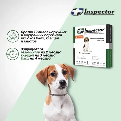 Ошейник инсектоакарицидный для собак Beaphar 65 см - «Качественный ошейник,  который оберегает наших собак от блох и клещей уже не первый год» | отзывы