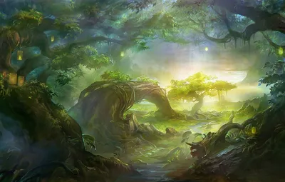 Волшебный лес: загадочные фотографии в хорошем качестве
