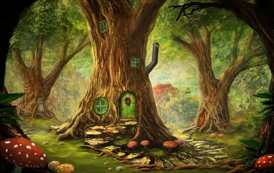 Волшебная природа: фото Волшебного леса в формате JPG