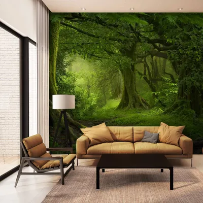 Волшебный лес на вашем экране: скачайте изображения бесплатно