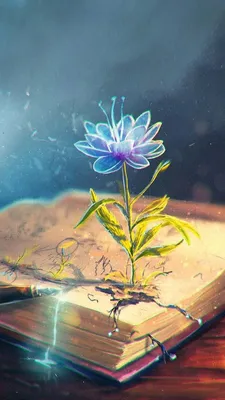 Волшебный цветок - магия в каждом лепестке
