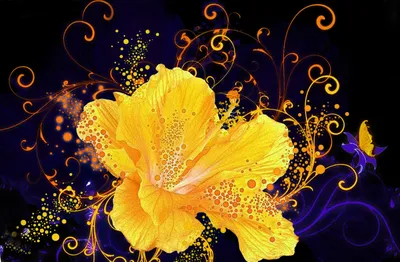 Вдохновляющее фото волшебного цветка