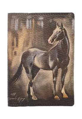 Вороная лошадь Раскраска картина по номерам на холсте SX10384 купить в  Москве и СПб