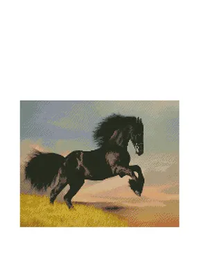 Красивый Портрет Черного Фризского Жеребца Бегах Воронья Лошадь Бежит  Портрет стоковое фото ©mari_art 362830630