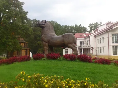 В Воронеже есть памятник «Конь с яйцами». Удивительно, что разрешили его  поставить. И до сих пор непонятно, с кого лепил скульптор… | Instagram