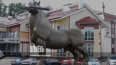 Жительница Воронежской области 16 лет развозит почту на лошади