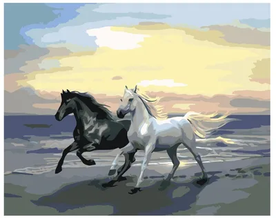Картина по номерам Белый и вороной конь 40 x 50 | KTMK-978231 | SLAVINA  (ID#196790695), цена: 33.60 руб., купить на Deal.by