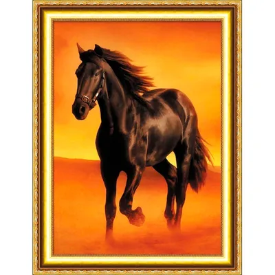 Картина по номерам \"Вороной конь\"