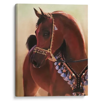 Вороной конь - Галерея ArtDefa