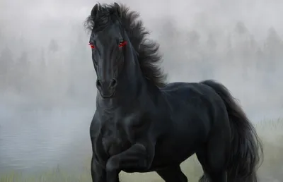 Картинка лошадь черный конь зеленой травке животное