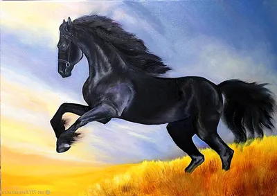 ᐉ Картина ArtPoster Вороной конь скачет по зеленой траве на фоне грозовых  облаков 130x84 см Модуль №27 (001100)