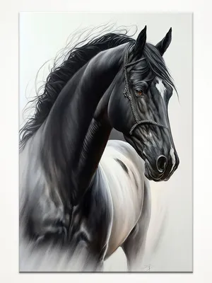 Купить аЖ-4031 Картина стразами 'Вороной конь' 30*40см, цены на Мегамаркет  | Артикул: 600004756261