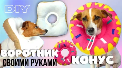 DOG DIY | Мягкий Защитный Воротник Для Питомца Своими Руками /Ветеринарный  Конус / Купол - YouTube