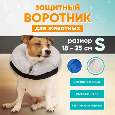Защитный воротник для собак и кошек, ветеринарный мягкий надувной воротник  для животных - купить с доставкой по выгодным ценам в интернет-магазине  OZON (275722304)