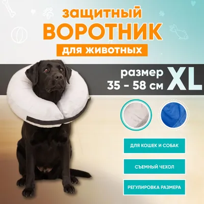 Защитный воротник для собак и кошек, ветеринарный мягкий надувной воротник  для животных - купить с доставкой по выгодным ценам в интернет-магазине  OZON (275729607)