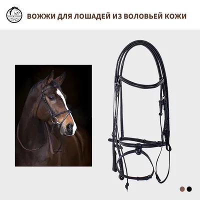 Вожжи для лошадей из воловьей кожи,M - купить с доставкой по выгодным ценам  в интернет-магазине OZON (1278300557)