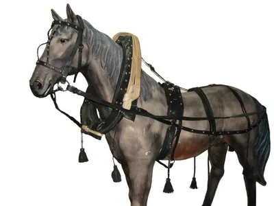Вожжи для лошадей Снаряжение для верховой езды Снаряжение для скачек.м -  купить с доставкой по выгодным ценам в интернет-магазине OZON (1264590963)