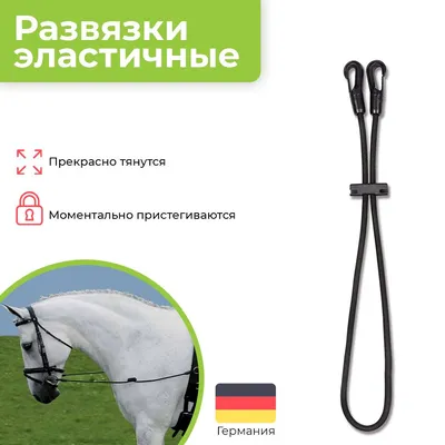 Купить вожжи для лошади Воронеж оптом и в розницу по низкой цене