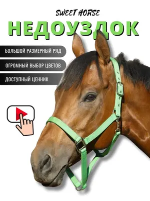 Как запрягать лошадь