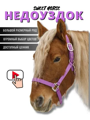 Вожжи для лошади брезент, 25 мм Reiter 143343877 купить в интернет-магазине  Wildberries