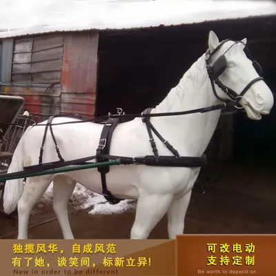 Sweethorse / Недоуздок для лошади и пони FULL - купить с доставкой по  выгодным ценам в интернет-магазине OZON (838977371)