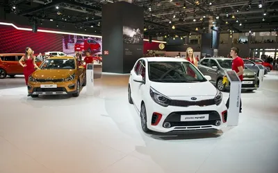 В России стартовали продажи Kia Sportage R - Российская газета