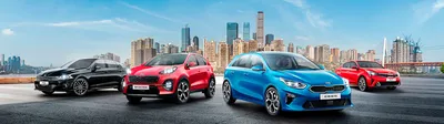 Kia СПб | Официальный дилер Киа в Санкт-Петербурге, купить новый Kia 2021  года