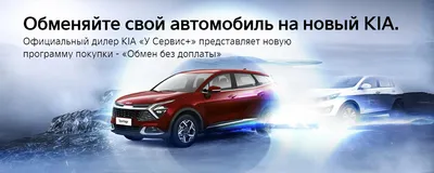 Kia второй год подряд возглавила рейтинг самых надежных машин :: Autonews