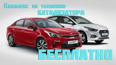 Kia Sportage 2024 модельного года – новые комплектации уже в Украине
