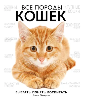 Книга Если все кошки в мире исчезнут - купить в Книги нашего города, цена  на Мегамаркет