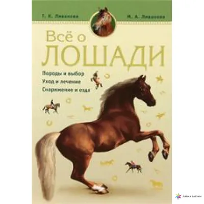 Что? Почему? Зачем? Всё о лошадях и пони (Эрне А.) Издательство Омега -  купить книгу с доставкой в интернет-магазине издательства «Омега» ISBN:  978-5-465-03767-9
