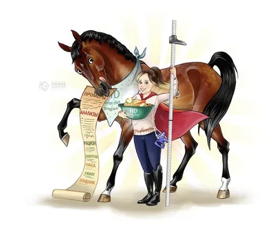 Мини-книги: Мини-энциклопедии. Всё о лошадях (р) (А814004Р) купить | ELMIR  - цена, отзывы, характеристики