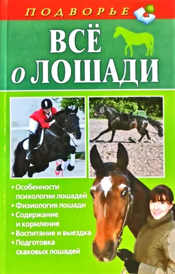 В Дагестане возродили государственную конюшню с чистопородными лошадьми -  Российская газета