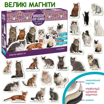 Сравнить породы кошек - картинки и фото koshka.top