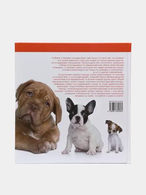 Собаки. Все породы» () - купить книгу Собаки. Все породы с доставкой в  интернет магазине Bookclub.by. Код для заказа: