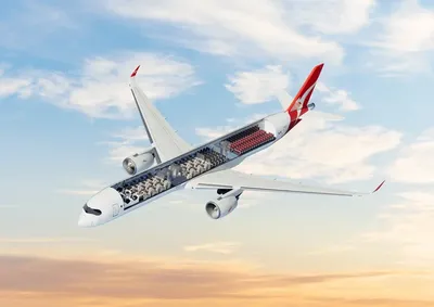 Как будет выглядеть самолет для самого длительного перелета в мире |  Ассоциация Туроператоров