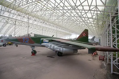 В НАТО обвинили сопровождавший самолет Шойгу Су-27 в небезопасном маневре —  РБК